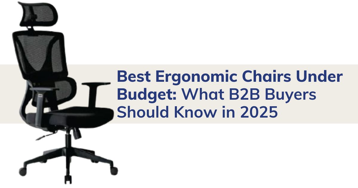 Best Ergonomic Chairs Under Budget